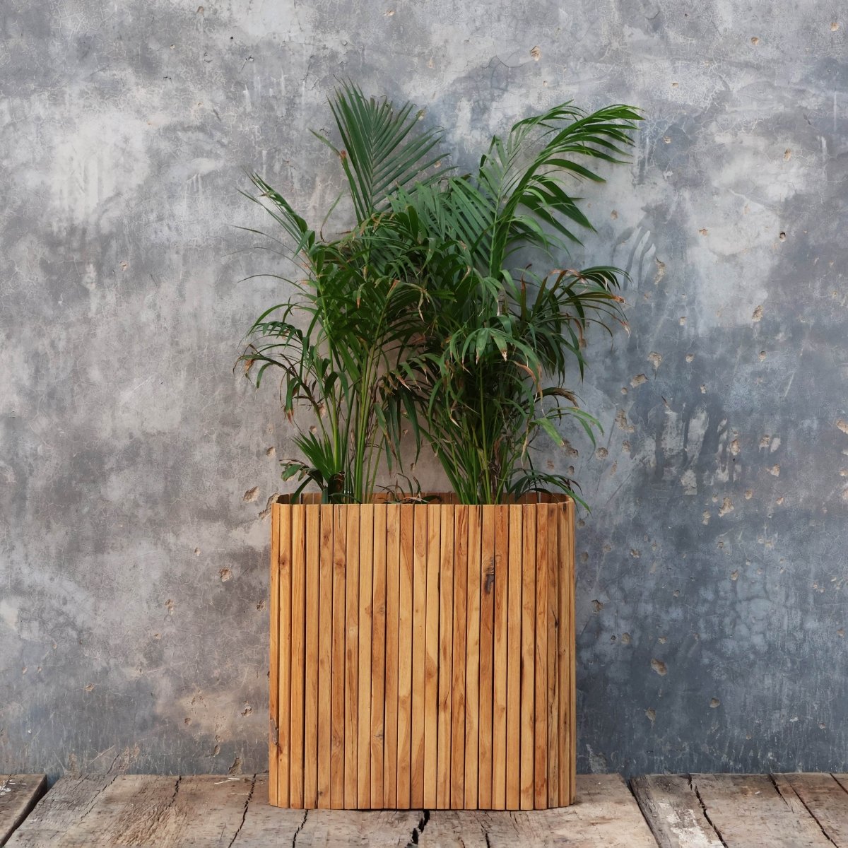 Florela Planter - **