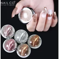 NAILCO pcs Set Holographics Nail Powders Shining Rose Gold Metal Mirror Powder Manicure For Nail Art Chrome Pigment Accessories